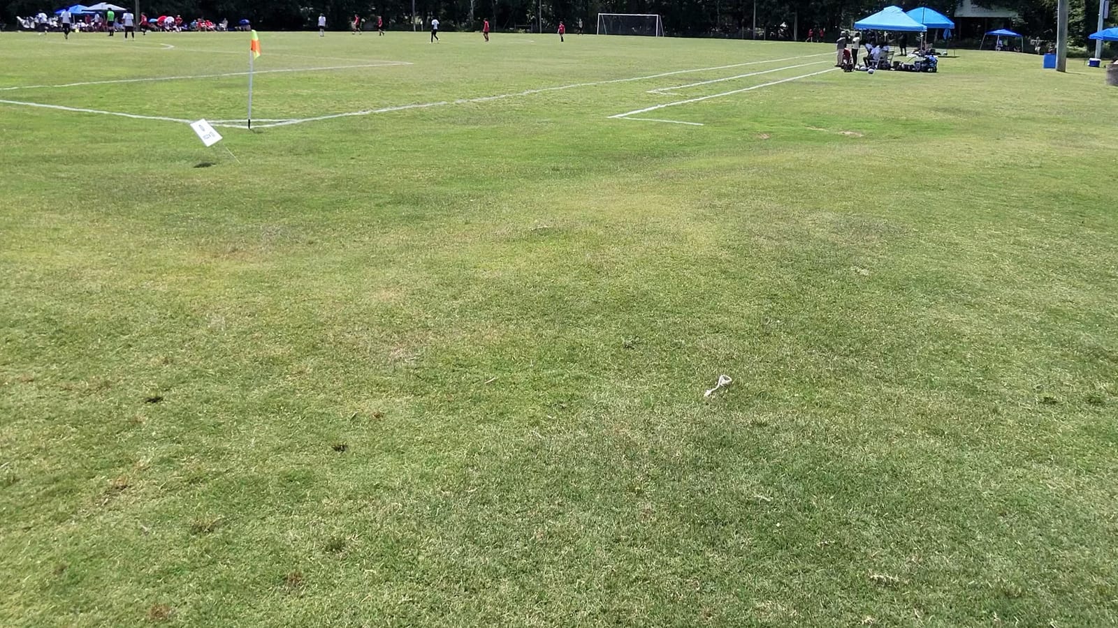 A marked grass soccer pitch on a bright day, with a corner flag and sideline canopies in the distance